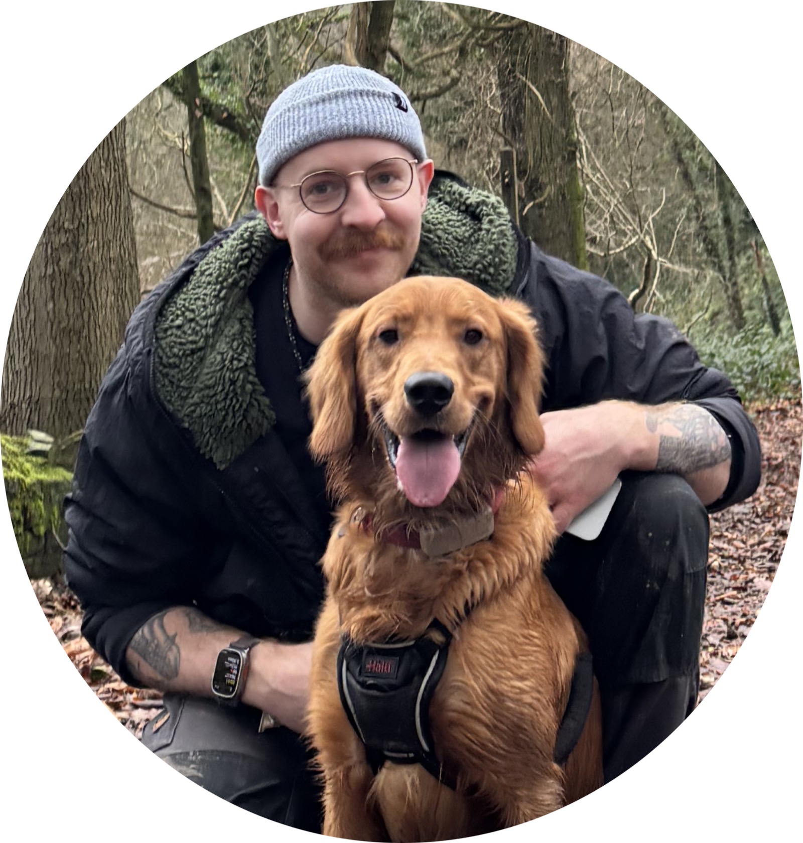 Ben and Rowan the Working Golden Retriever